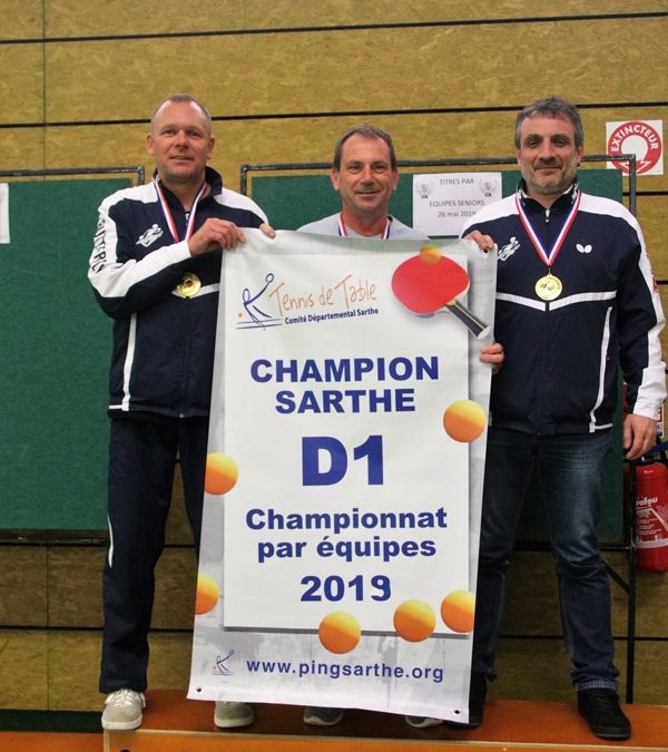 Le Mans Sarthe TT 12 Championne de Sarthe en D1